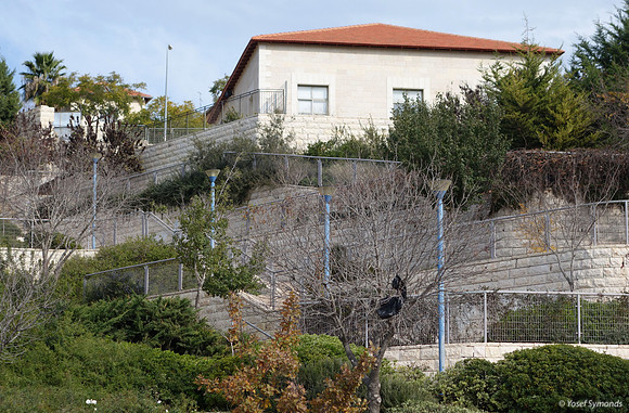 Beit Knesset Ohr Shalom from Hayarkon