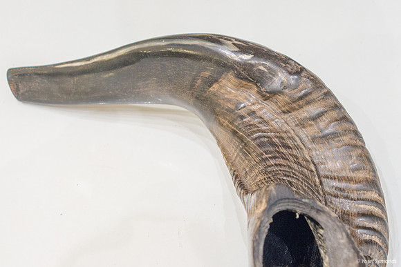 Shofar 190901-1