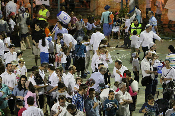 independence Day Celebration Crowd 8