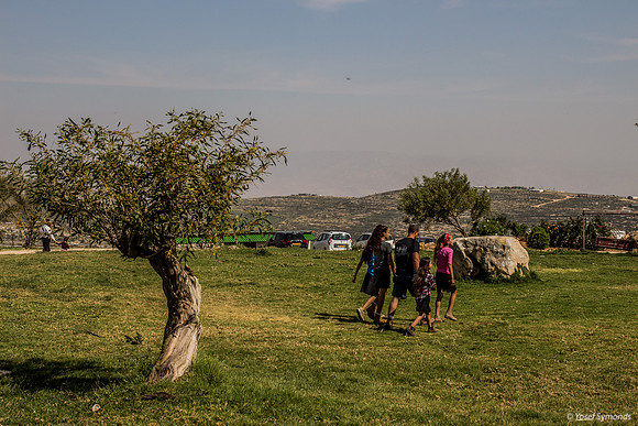 Visitors on Grass 1
