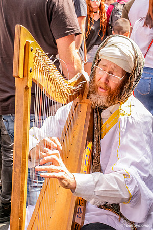 The Harpist 171006-9