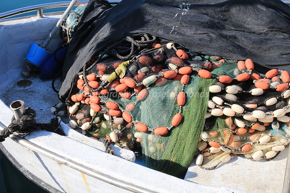 Jaffa Fishing Port