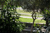 Ayalaon Park from the Bleachers