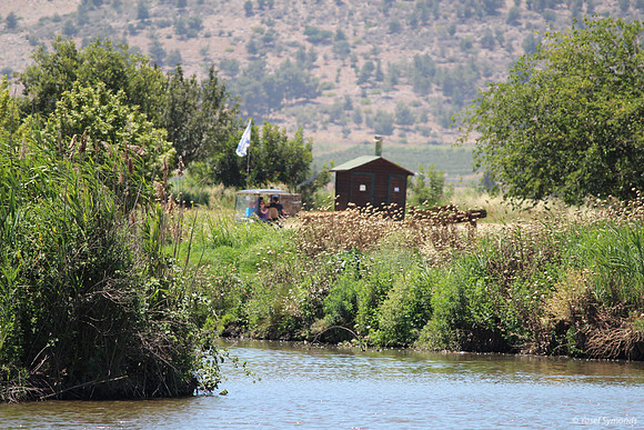 Quiet Time in the Hula Valley 130528-3