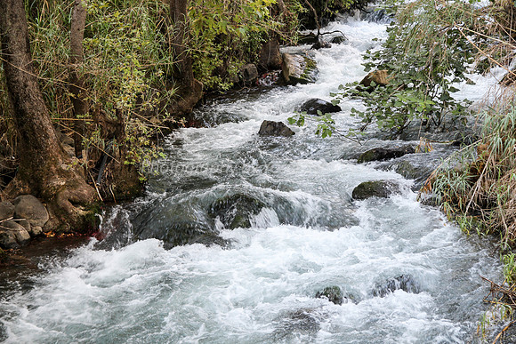 130528-Hula_Valley-2367-2