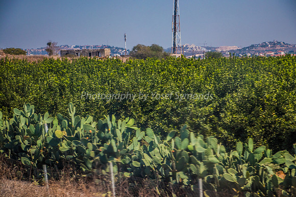 From Beit Hanina to Karnei Shomron 180927-23