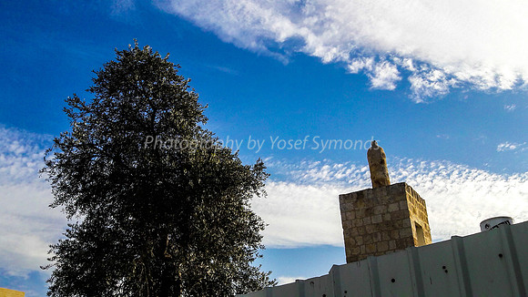Minaret and Tree - Ramle 2