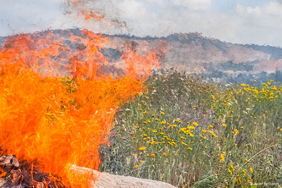 Roaring Fire Consuming Chametz 250411-2