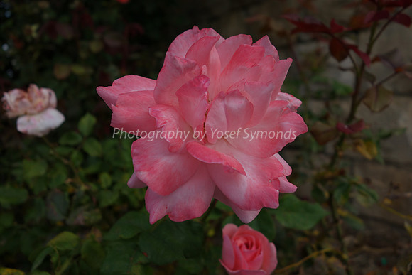 DSC02076