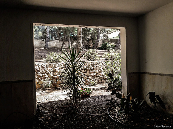 Looking Out Onto Garden 190908-1