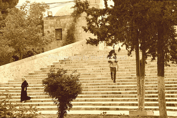 Temple Mount 140605 June 2014