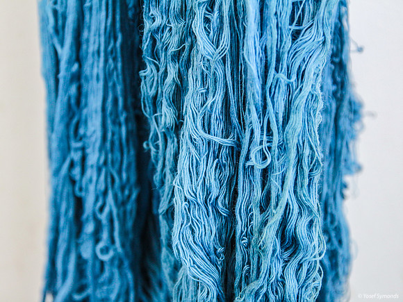 Closeup of Techelet Blue Strings Drying after Coloration 2