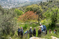 View from the "Shomra" 190423-4