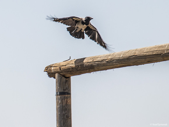 Takeoff 220328-1