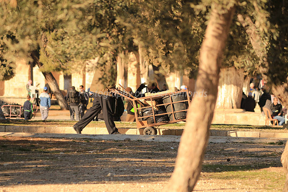 140209-HarHabayit-9813