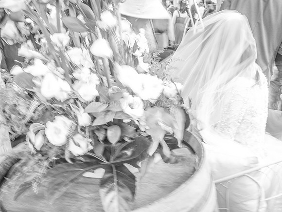 Bride Greeting and Blessing Guests 2