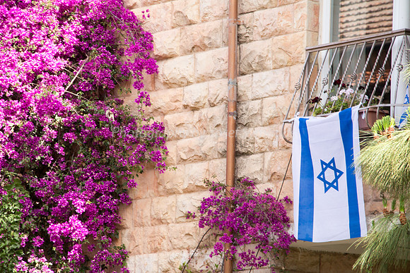 Flag - May16 - 3