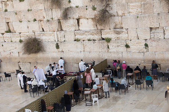 Western Wall קוטל המערבי