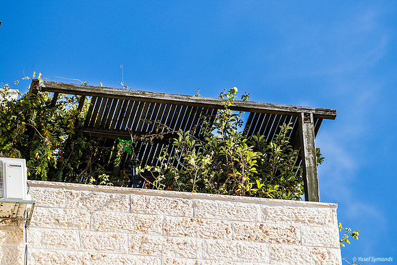 Penthouse Sukkah 241023-1