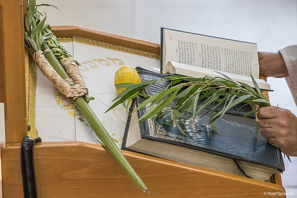 Holding Aravot (Willow Twigs) Before Beating 191020-8
