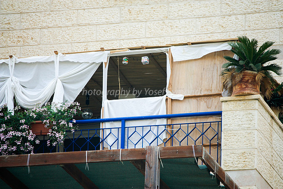 Flower and Sheet Sukkah 4