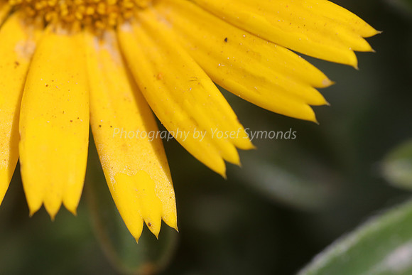 170414-CactusGarden-9999_57-2