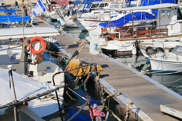 Jaffa Fishing Port