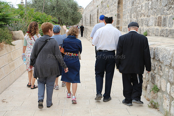 On the Move- Walking the Walk (1)