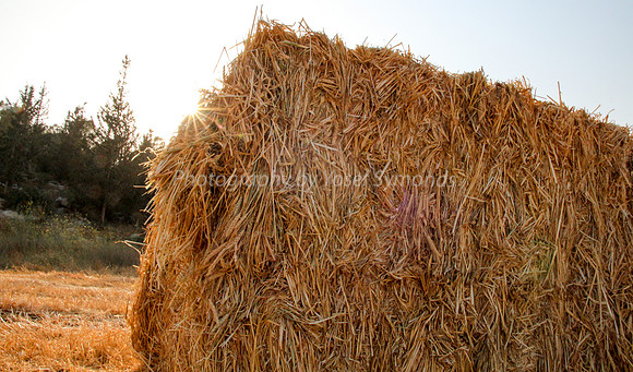 Haystack 170721-18
