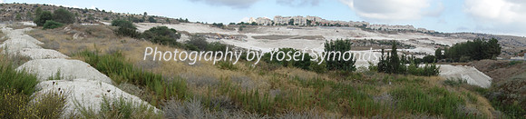 Mishkafayim 2014 Q3 DSC02148