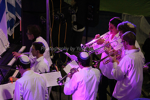 Independence Bands 4
