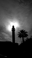 Ramle Minaret and Tree 1