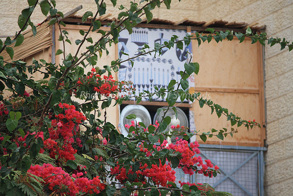 Ventilated Sukkah in Red Foliage