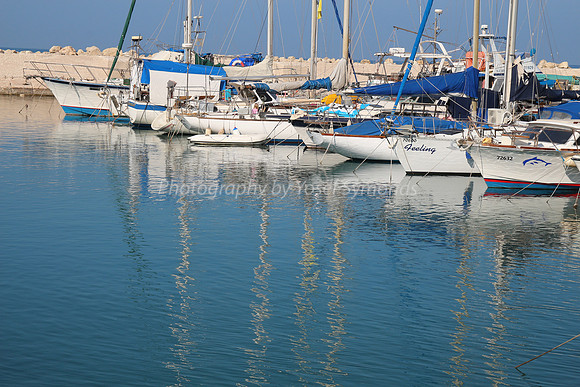 Jaffa Fishing Port