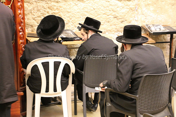 Chassidim Praying at Kotel 2