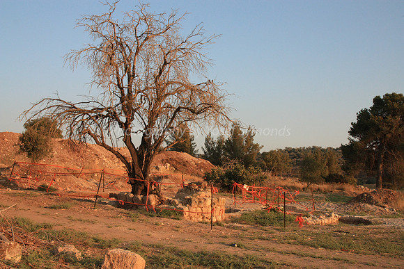 Mem 3 Antiquities Ramat Beit Shemesh  (1)