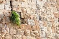 Cracks in Southern Wall Old City of Jerusalem