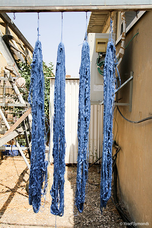Techelet Blue Strings Drying after Coloration 9