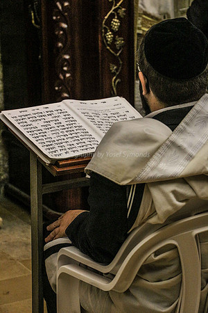 Man Reads Psalms at Kotel 3