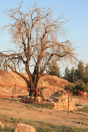 Mem 3 Antiquities Ramat Beit Shemesh  (3)
