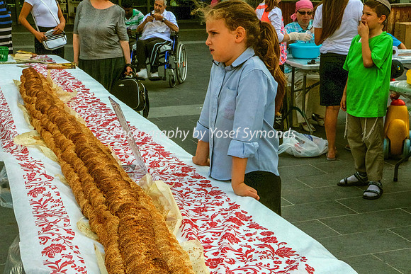 150702-NaimiMall_ArtsFair-5692