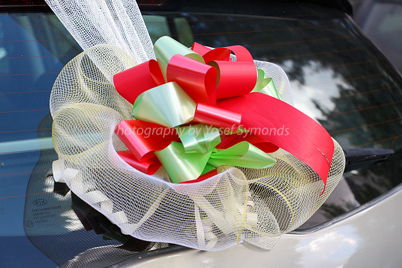 Wedding Car Decorations 1
