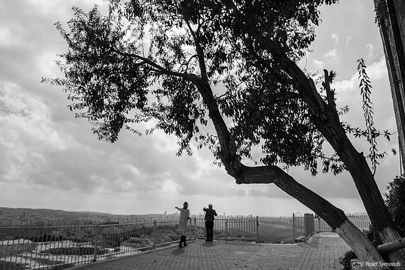 Pointing Towards Jerusalem 221107-4