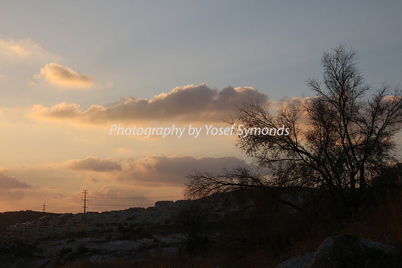 Mem 3 2014 Q3 Sunset on Ramat Shilo 8045