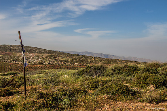 View Looking East from Mount Kida 7