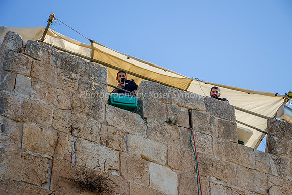 Sentries Overlooking Visitors