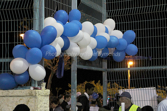 Independence Day Celebration Balloons 2