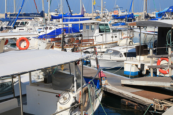 Jaffa Fishing Port