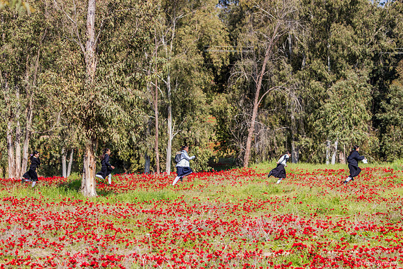 Racing Through the Fields 220216-3