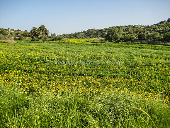 Yarmut Valley Looking ESE 2014